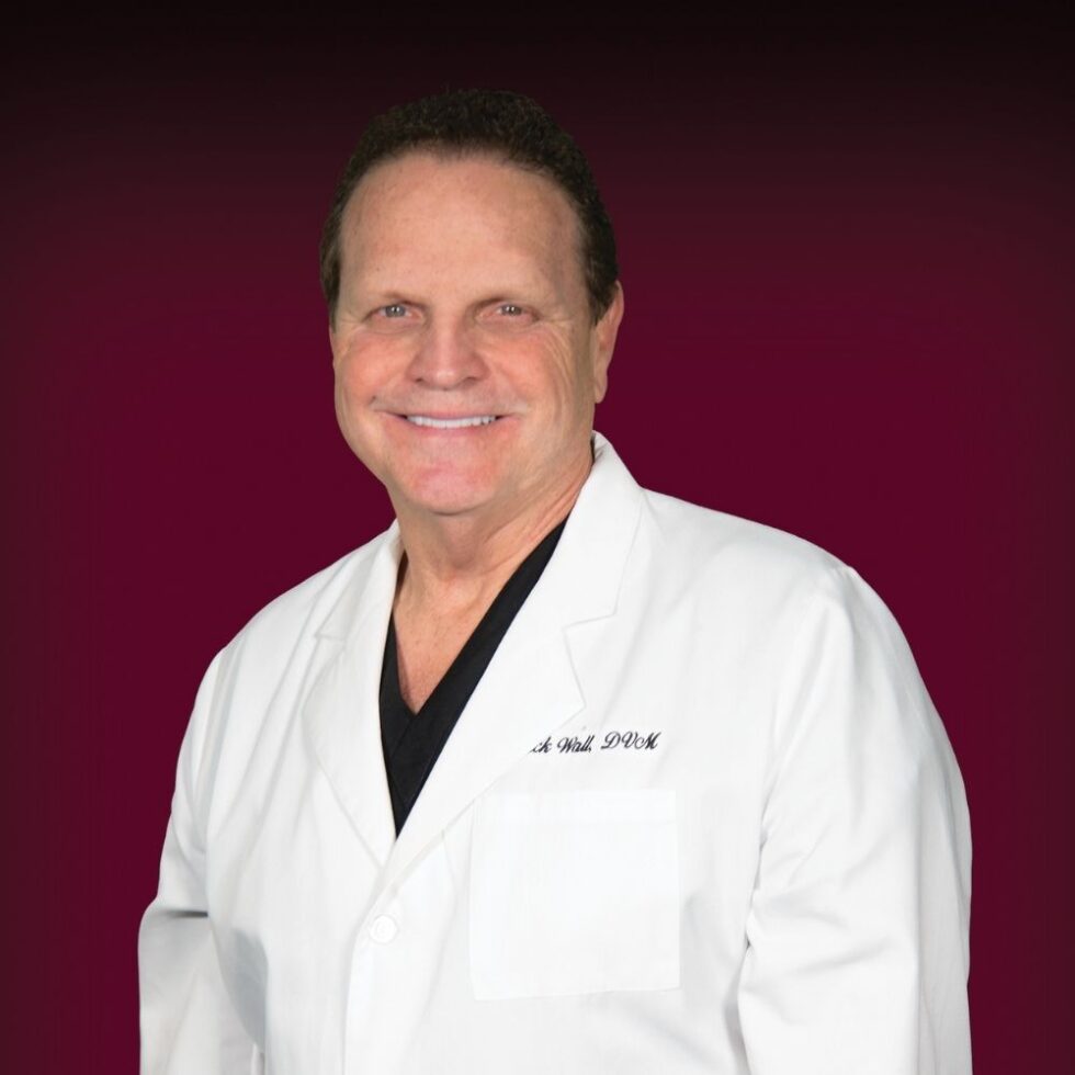 Veterinarian In The Woodlands, TX 77382 Animal Clinics