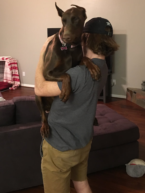person holding big dog